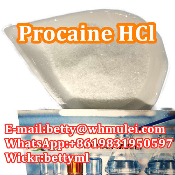 Cas 51 05 8 Factory Procaine