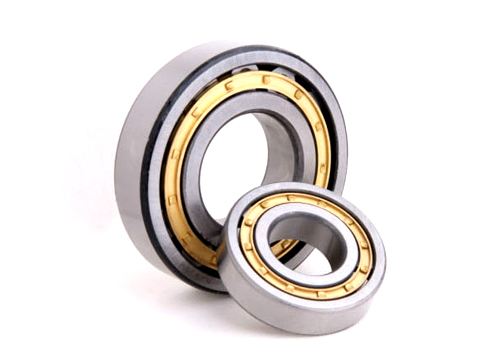 NSK NN3020 Cylindrical Roller Bearing 100