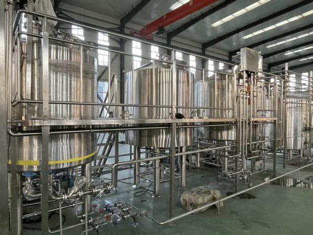 20HL 10HL Automated Brewing System Automatic