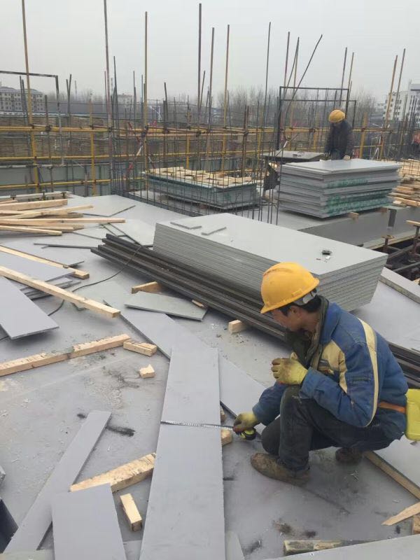 Construction Plastic Panel