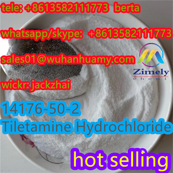 Best CAS 14176 50 2 Tiletamine