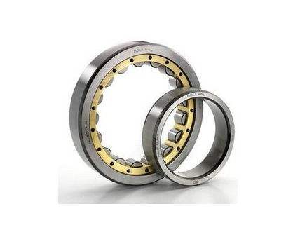 NSK NN3020 Cylindrical Roller Bearing 100