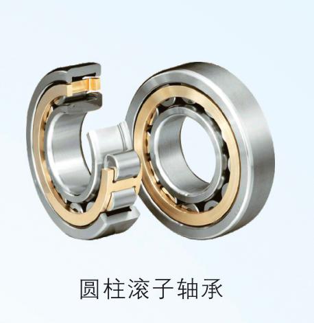NSK NN3020 Cylindrical Roller Bearing 100