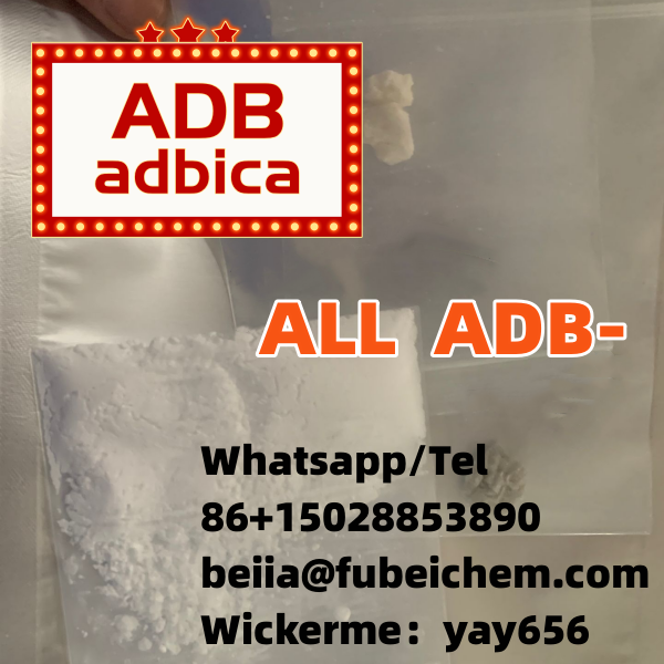 Secret And Secure Packing Pd 22