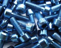 titanium bolts