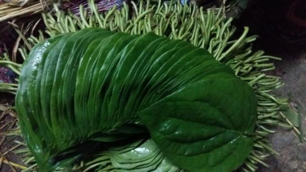 BETEL LEAVES (BANGLA)