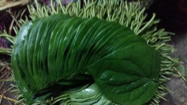 BETEL LEAVES BANGLA