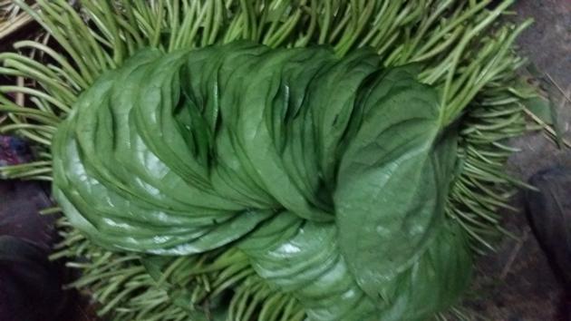BETEL LEAVES BANGLA