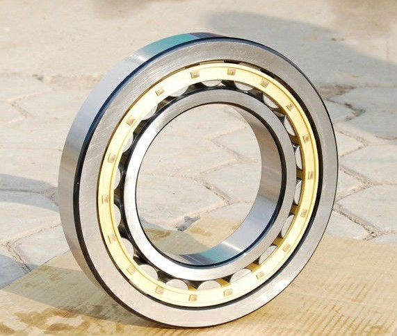 NSK NN3020 Cylindrical Roller Bearing 100