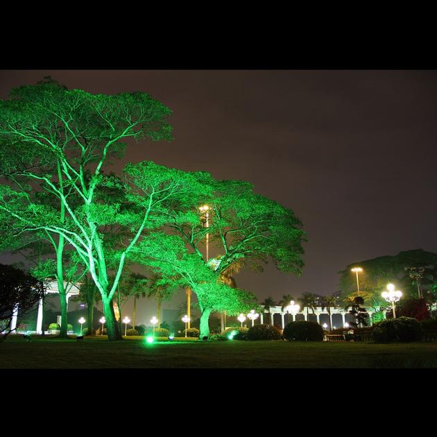 30W RGB LED Flood Light