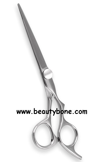 Salon Shears