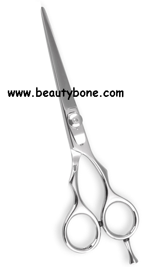 Salon Shears