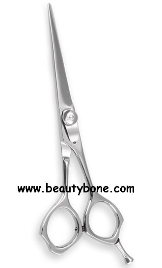 Salon Shears