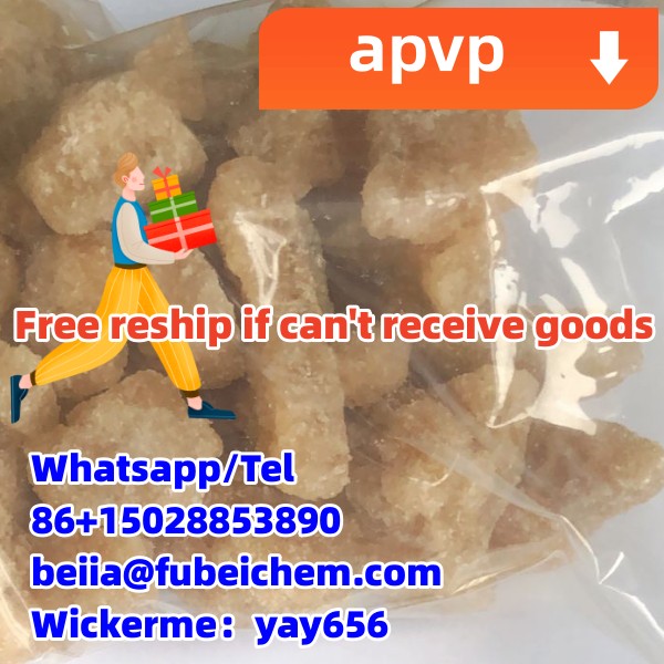 PVP Free Reship If Can T