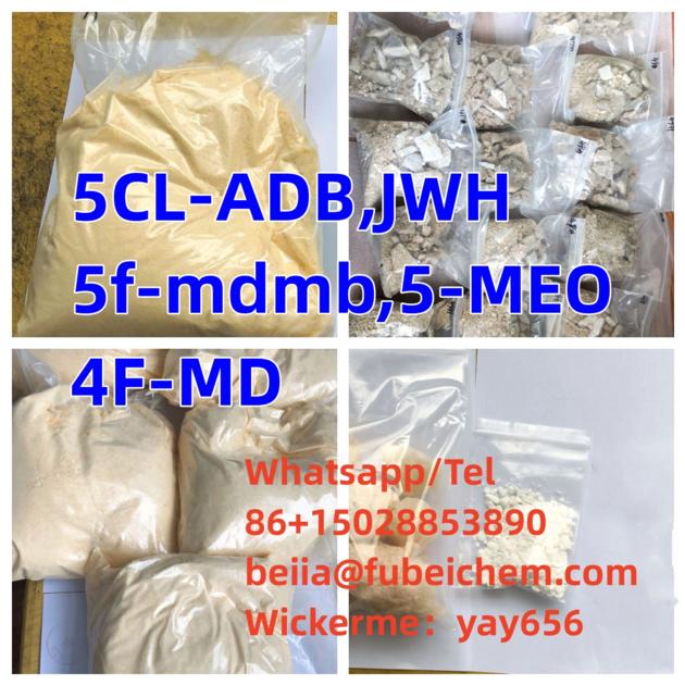 5F Pd 22