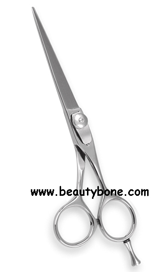Salon Shears