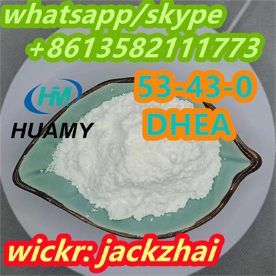 strong cas 53-43-0 Dehydroepiandrosterone(DHEA) products hot selling