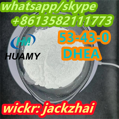 Factory  cas 53-43-0 Dehydroepiandrosterone(DHEA) price
