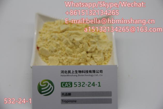 Factory Supply Tropinone Powder CAS 532