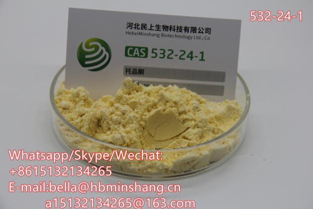 Factory Supply Tropinone Powder CAS 532