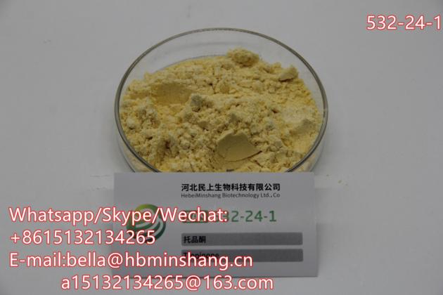 Factory Supply Tropinone Powder CAS 532