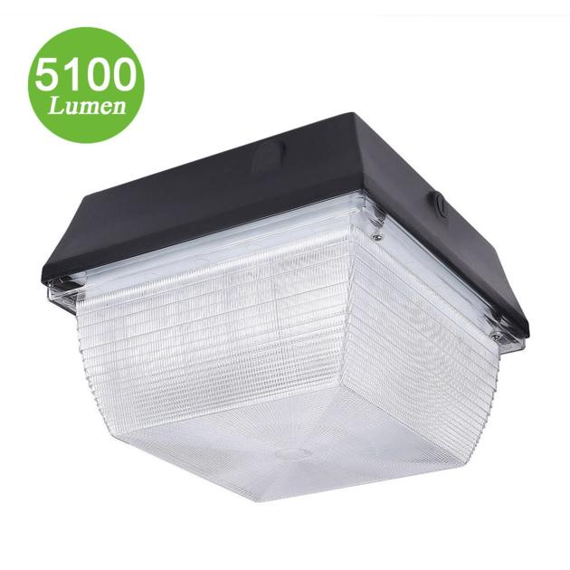 60W LED Canopy Lights