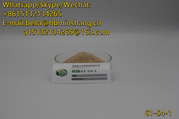 Factory Supply Tryptamine 61 54 1