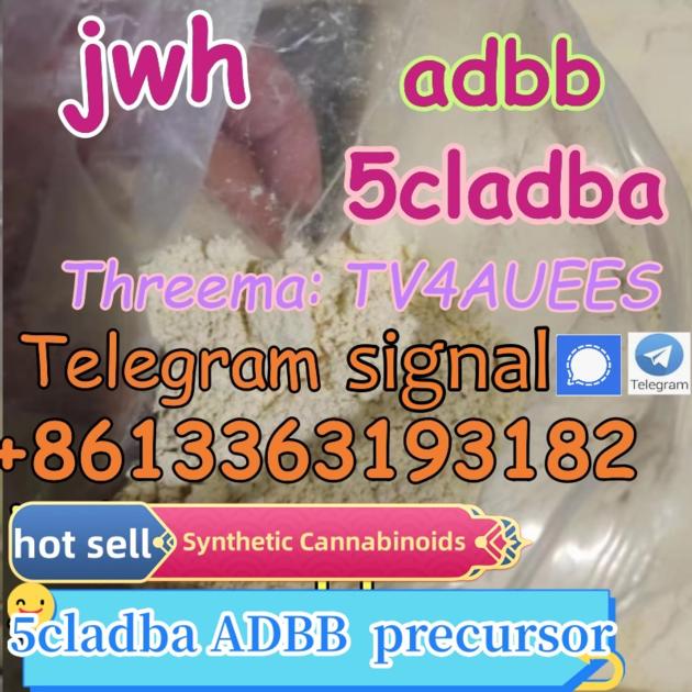 Synthetic Cannabinoids Butinaca 5F ADB 5CLADBA