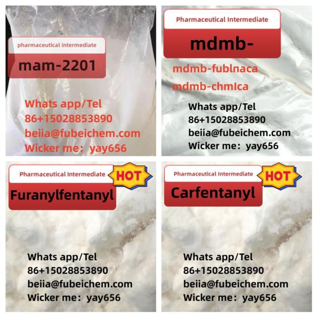 BMDP Free Reship If Can T