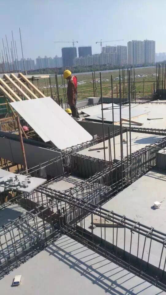 Construction Plastic Panel