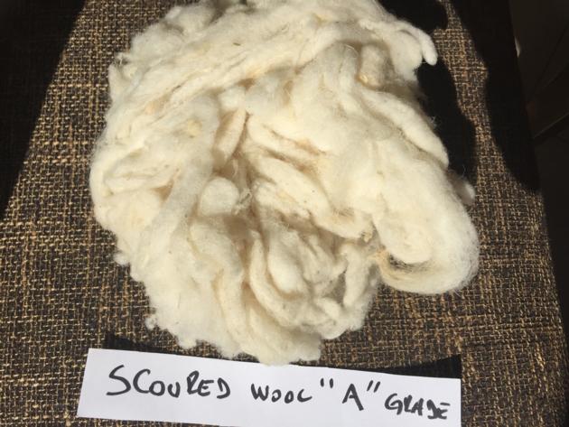 Scoured Sheep Wool 