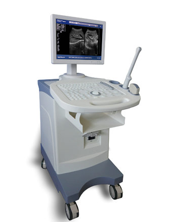 Trolly Build-in Black & Whitel Ultrasound Scanner BW-5Plus with 15 Inch LED Screen
