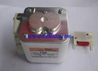 CS10F-750  Fuse