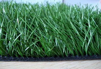 Artificial Grass BS5012080