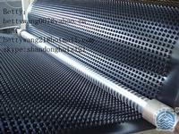 HDPE drainage board