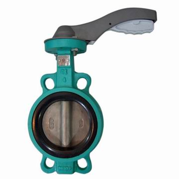 Butterfly Valve