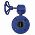 Flanged Ends Butterfly Valve