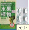 Fruit Plant