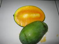 Arum Manis Mango