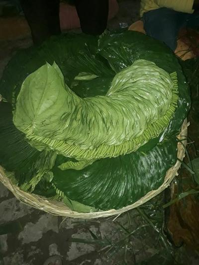 BETEL LEAVES MITHA KHARI
