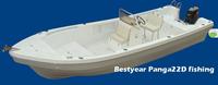 Panga 22D boat