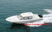 Passenger boat 880 960