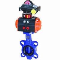 Butterfly Valve with Pneumatic Actuator