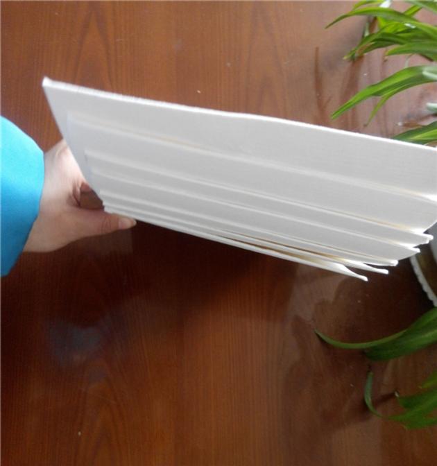 Non-gmo and green bagasse pulp for paper cups