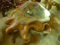Tree Root Table