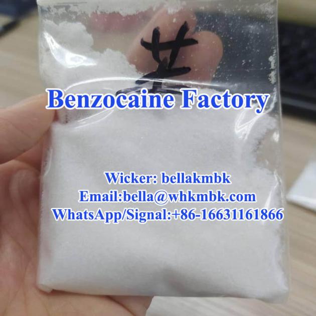 99 Benzocaine Hcl Powder CAS 23239