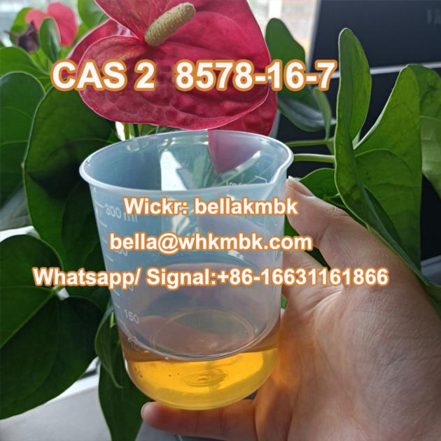 Pmk Oil CAS 28578 16 7