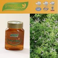 pure natural vitex honey for sale