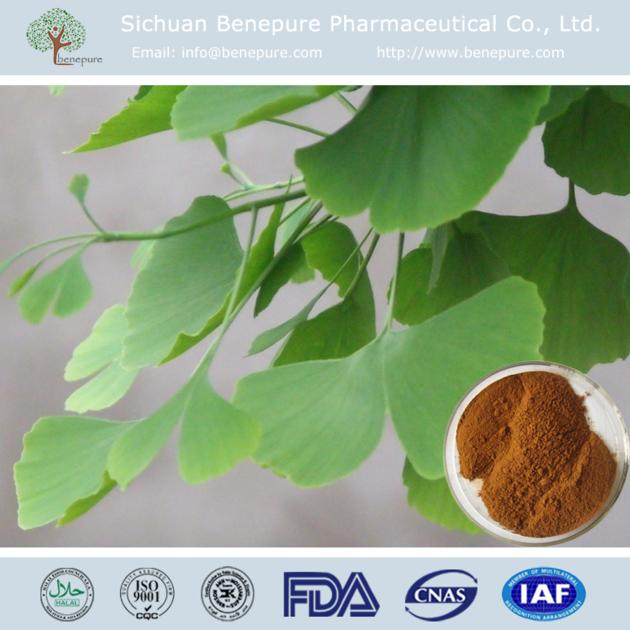 Ginkgo Biloba Extract