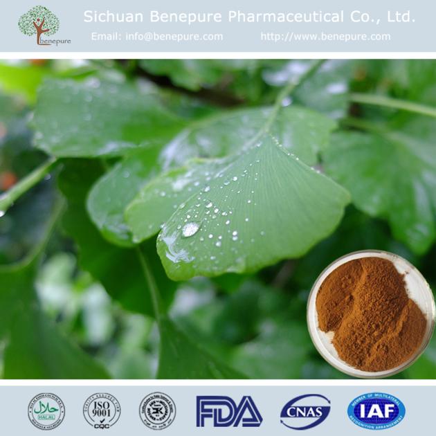 Ginkgo Biloba Extract